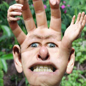 Meet your Posher, Evan